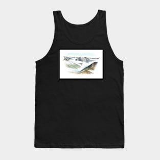 Mt Luxmore Summit View - Kepler Track Tank Top